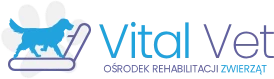 logo Vital Vet