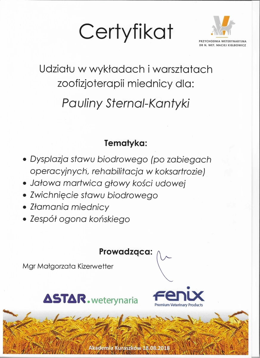 kuraszkow miednica