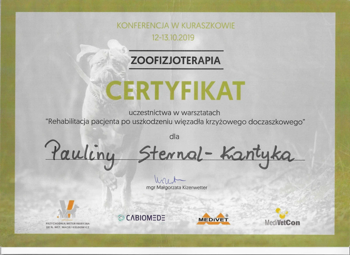 kuraszków zer x