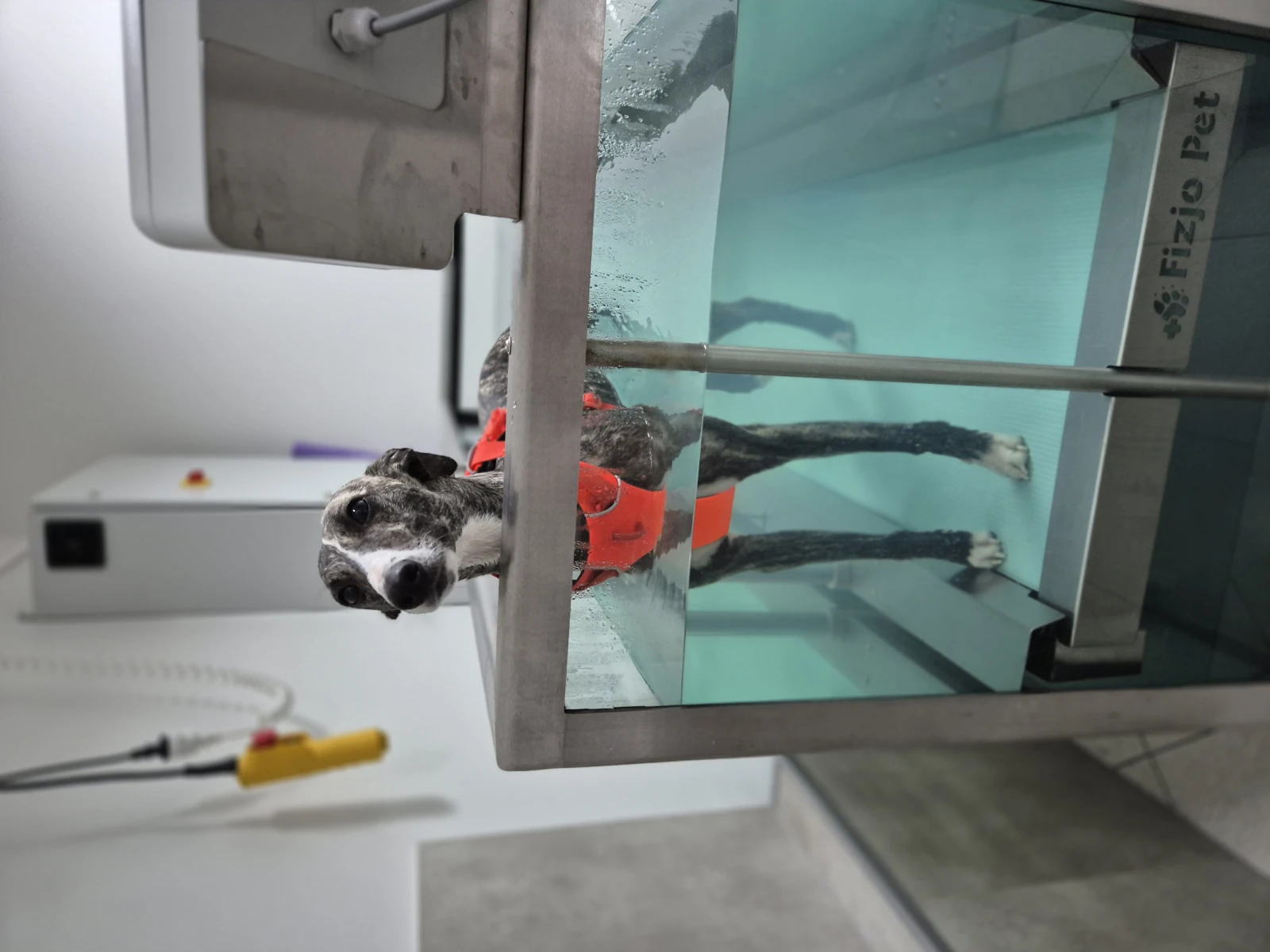 Bieżnia wodna - hydroterapia
